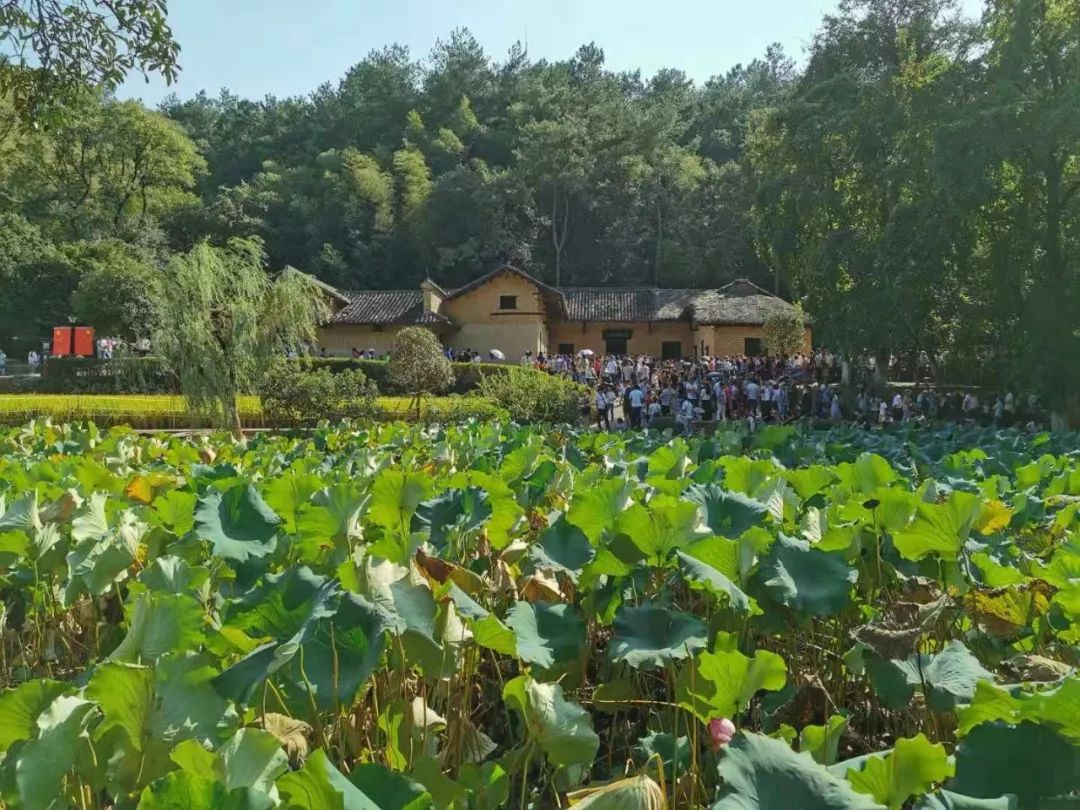 黄金城人赴韶山毛泽东故居